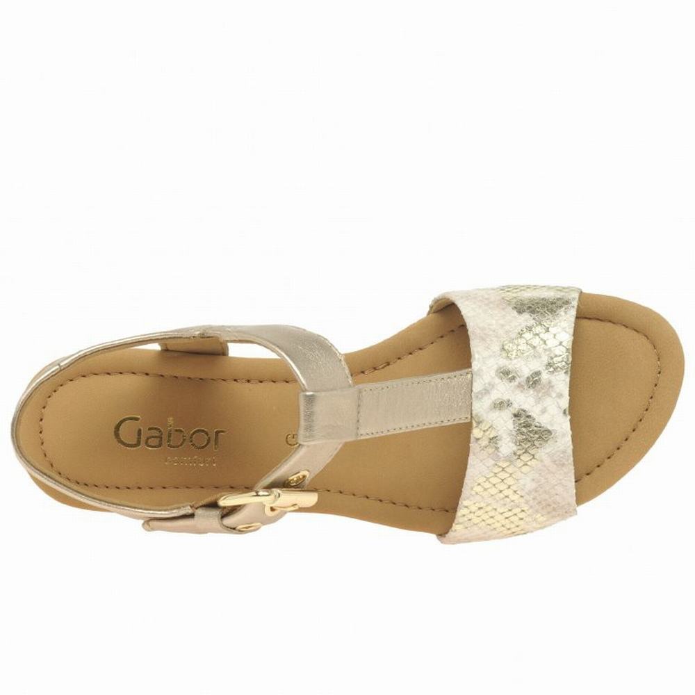 Gabor Karen Modern Sandaler med Hæl Dame Sliver | NO0002973