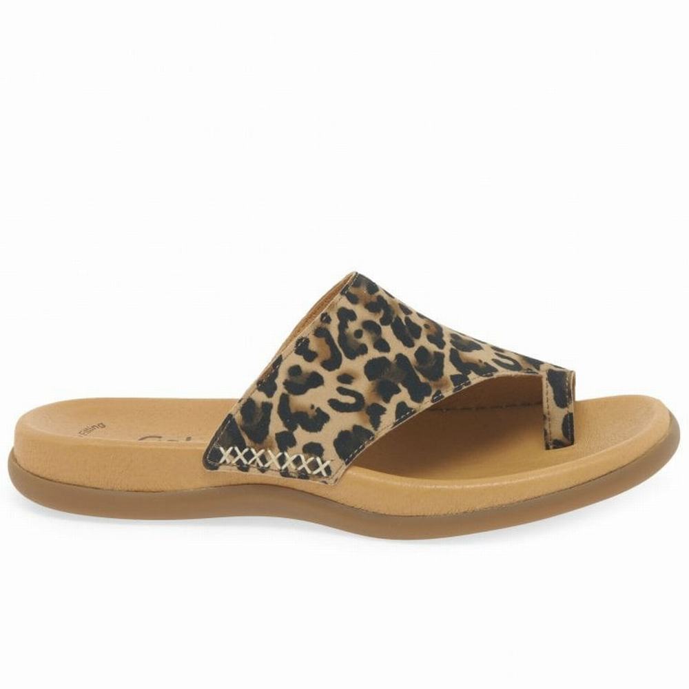 Gabor Lanzarote Printed Tå Loop Mules Sko Dame Beige Leopard | NO0002967