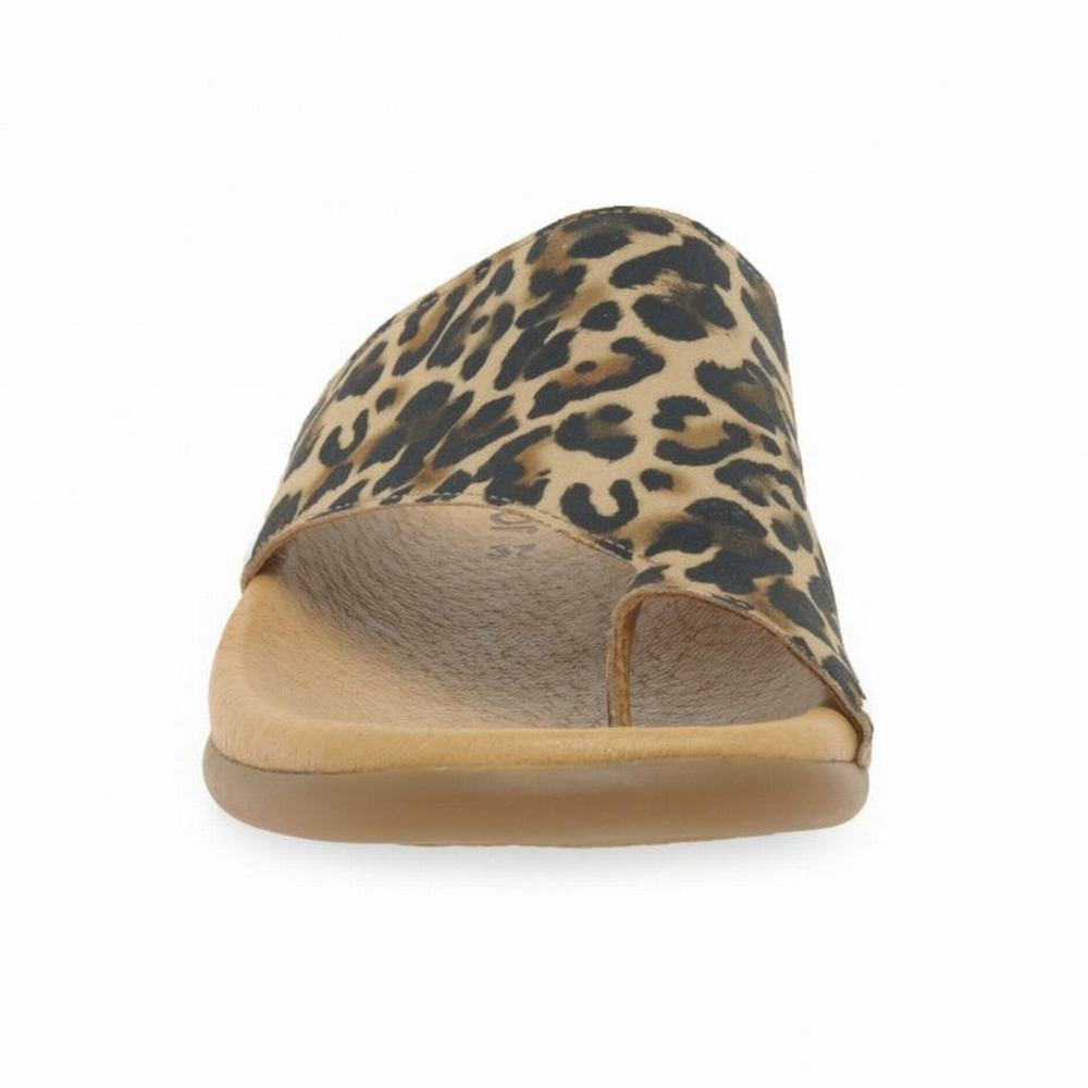 Gabor Lanzarote Printed Tå Loop Mules Sko Dame Beige Leopard | NO0002967