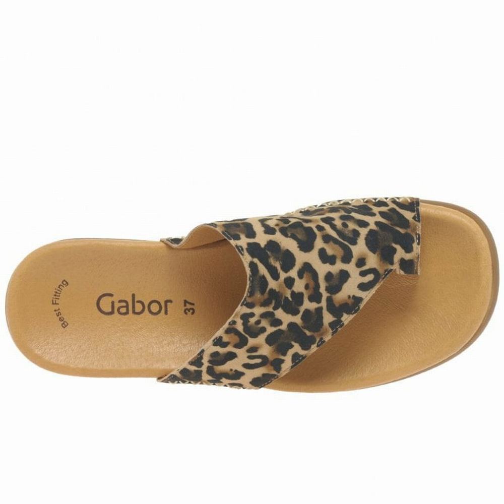 Gabor Lanzarote Printed Tå Loop Mules Sko Dame Beige Leopard | NO0002967