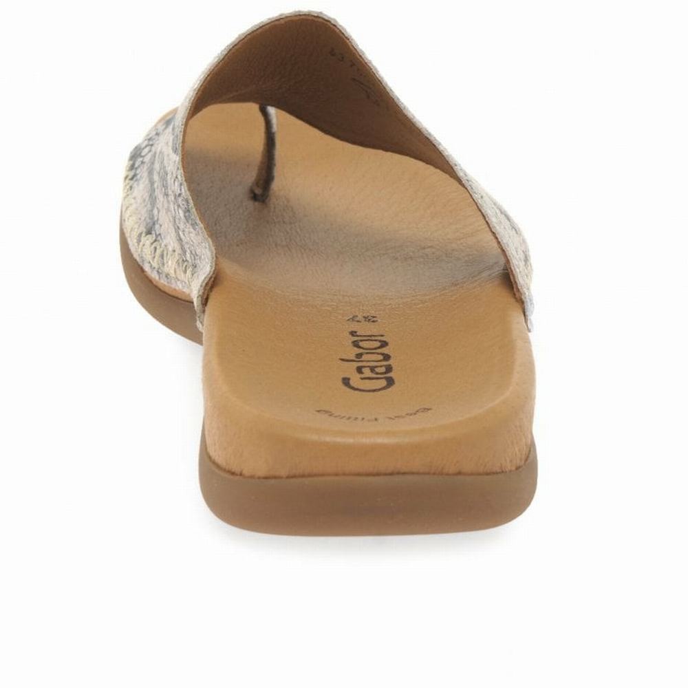 Gabor Lanzarote Printed Tå Loop Mules Sko Dame Beige Slangeprint | NO0002968