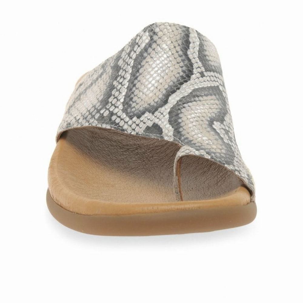 Gabor Lanzarote Printed Tå Loop Mules Sko Dame Beige Slangeprint | NO0002968