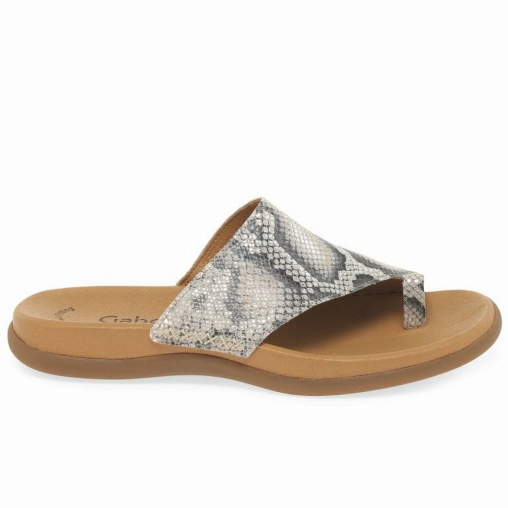 Gabor Lanzarote Printed Tå Loop Mules Sko Dame Beige Slangeprint | NO0002968