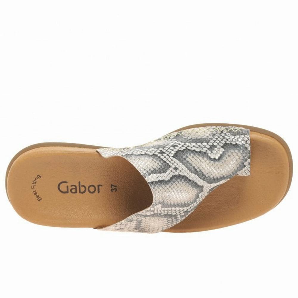 Gabor Lanzarote Printed Tå Loop Mules Sko Dame Beige Slangeprint | NO0002968