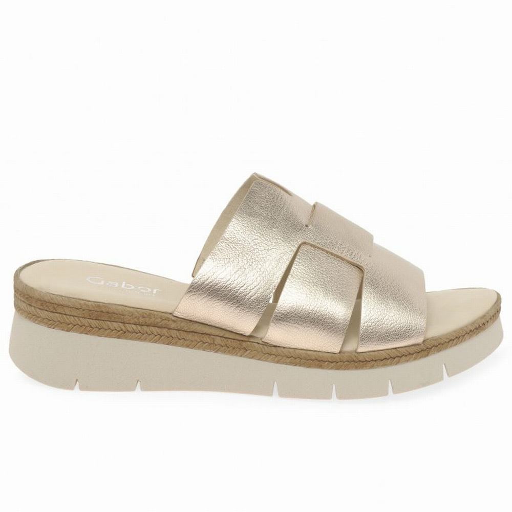 Gabor League Mule Sandals Kilesandaler Dame Sliver | NO0002194