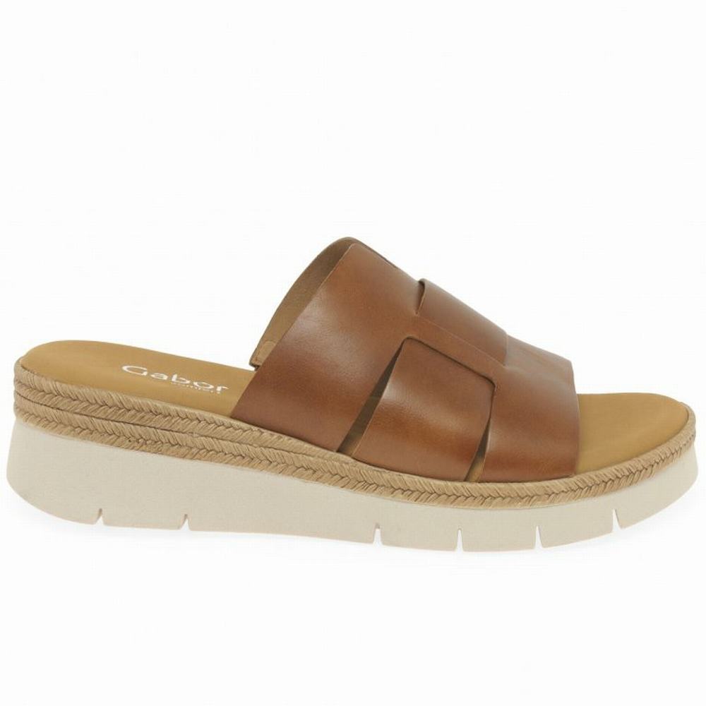 Gabor League Mule Sandals Kilesandaler Dame Brune | NO0002195