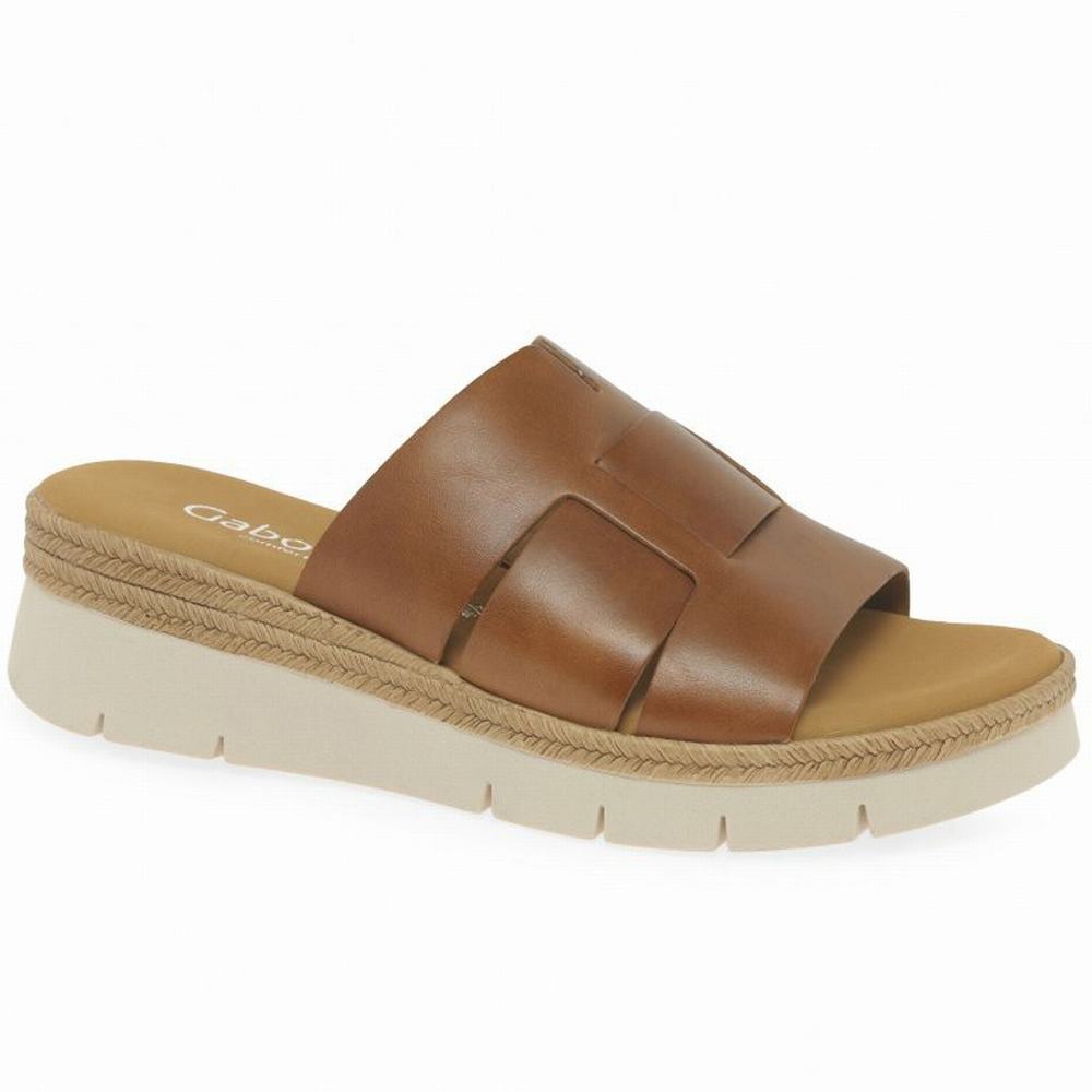 Gabor League Mule Sandals Kilesandaler Dame Brune | NO0002195